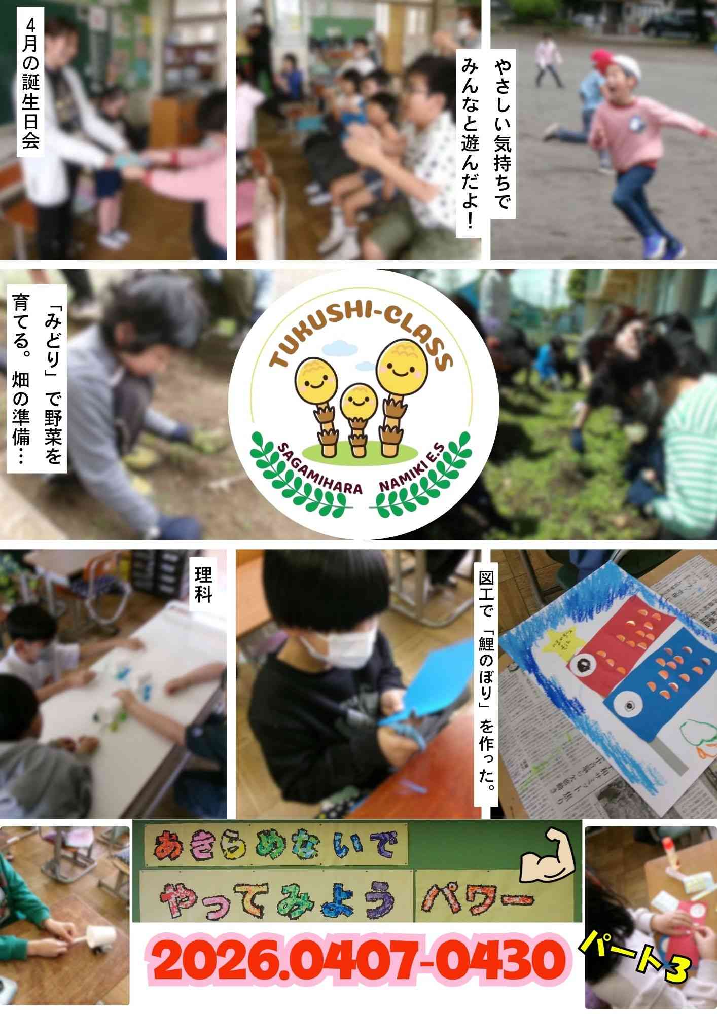 つくし級③
